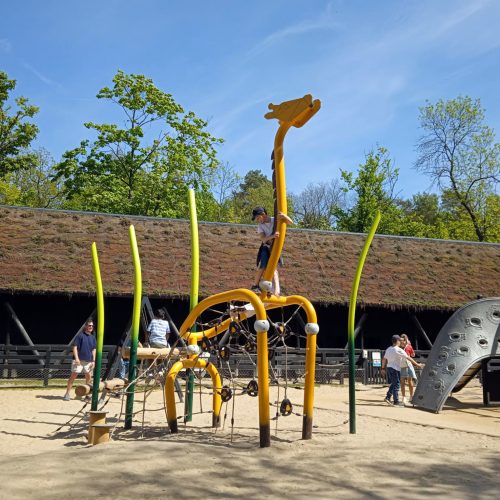 Organiq_9308MOD_żyrafa_photo_Poland_Lodz_ZOO_Buglo (3)